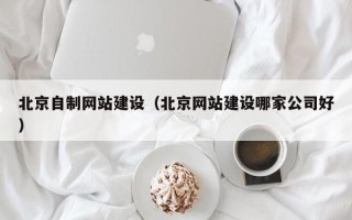 祁东北京自制网站建设（北京网站建设哪家公司好）